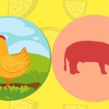 【林修の今でしょ講座】豚肉VS鶏肉の栄養パワー